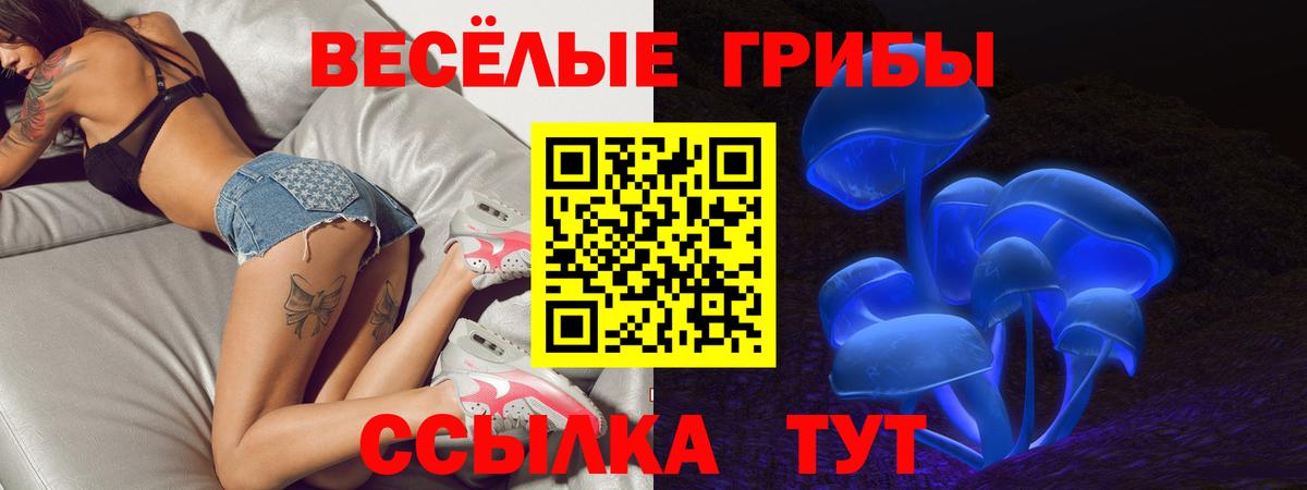 Ртищево  Псилоцибиновые грибы Psilocybe  Вход с VPN 